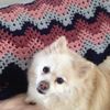 pattyleigh714